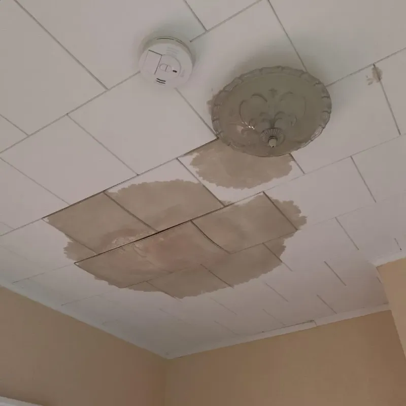 Ceiling Water Damage Repair in Youngwood, PA