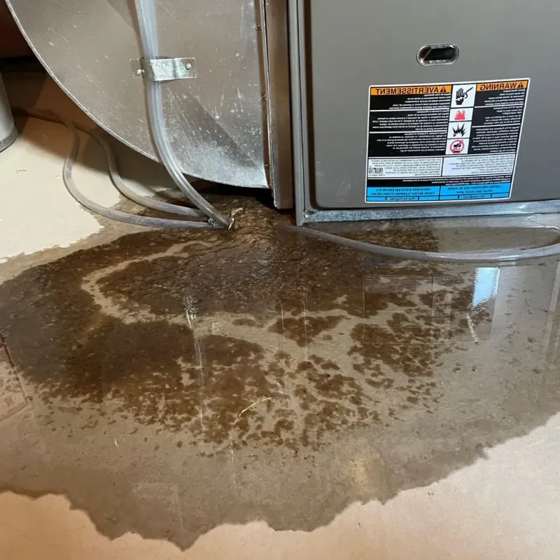 Pipe Burst and Leak Restoration in Youngwood, PA
