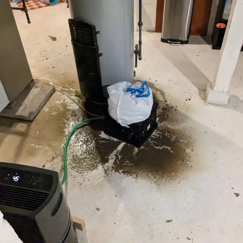 Sewage Backup Cleanup Service in Youngwood, PA